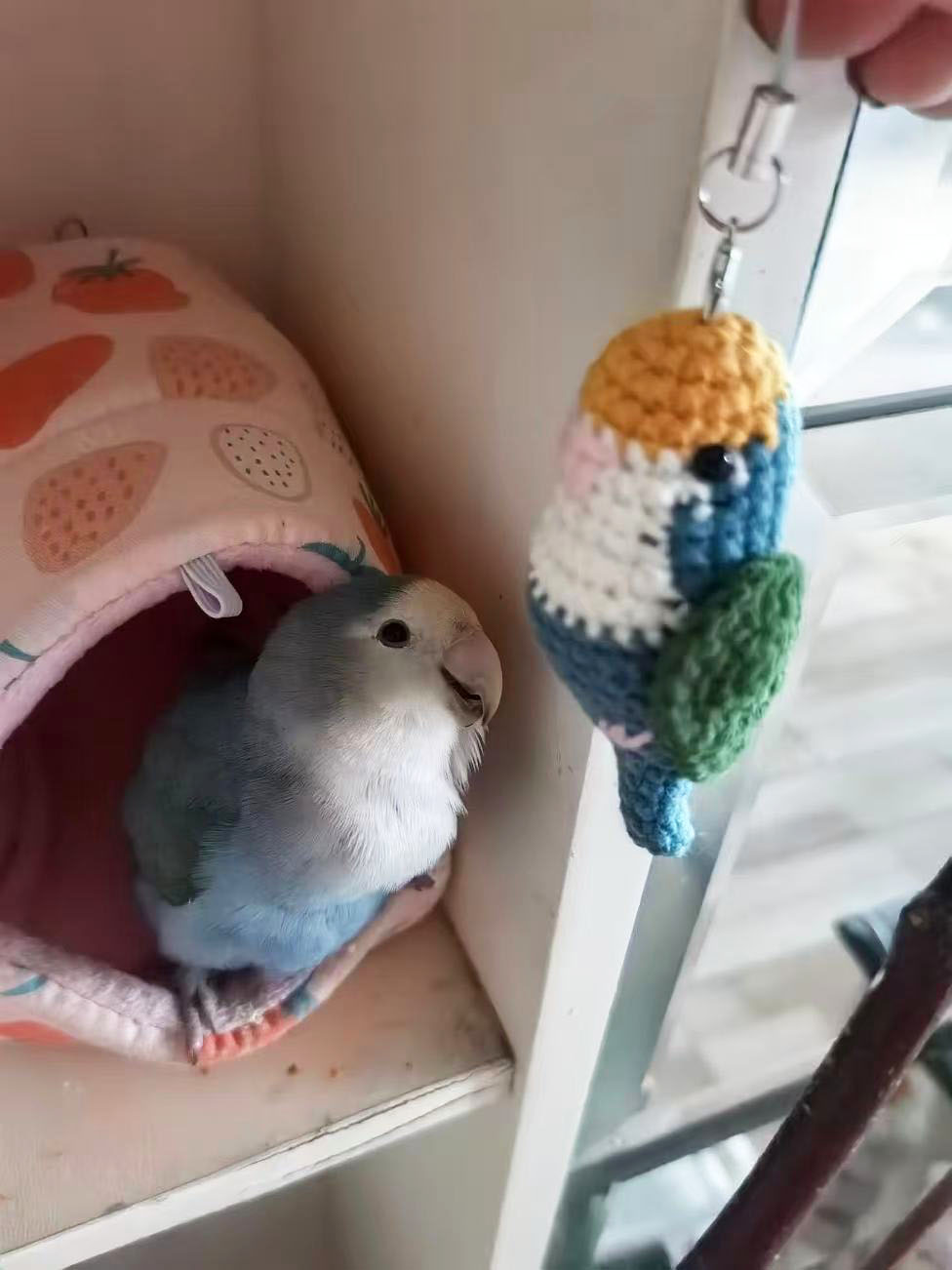 Custom Pet Bird Replica – Handmade Crochet Portrait from Your Photo, Small & Large Sizes Available - Image 14