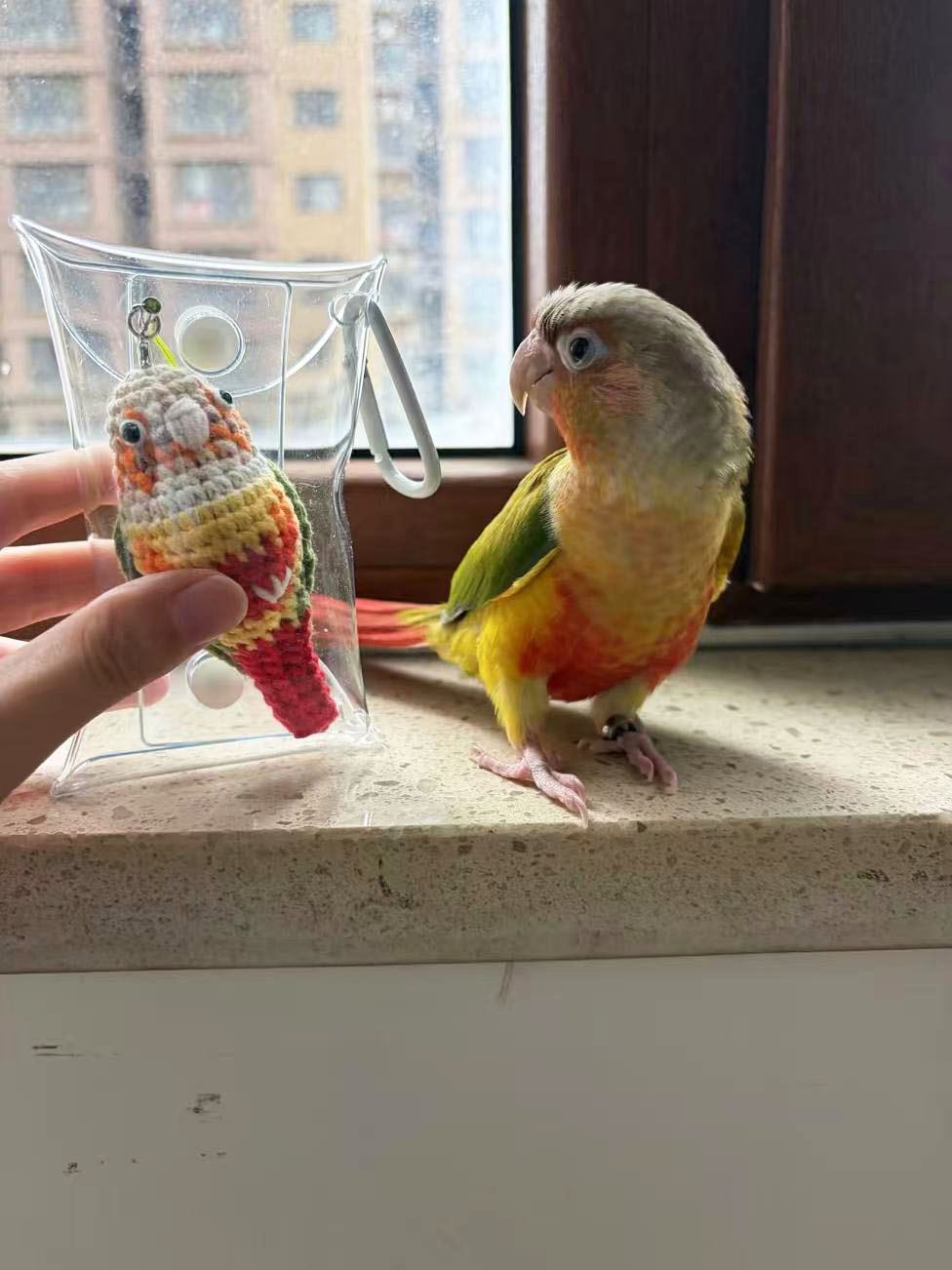 Custom Pet Bird Replica – Handmade Crochet Portrait from Your Photo, Small & Large Sizes Available - Image 13