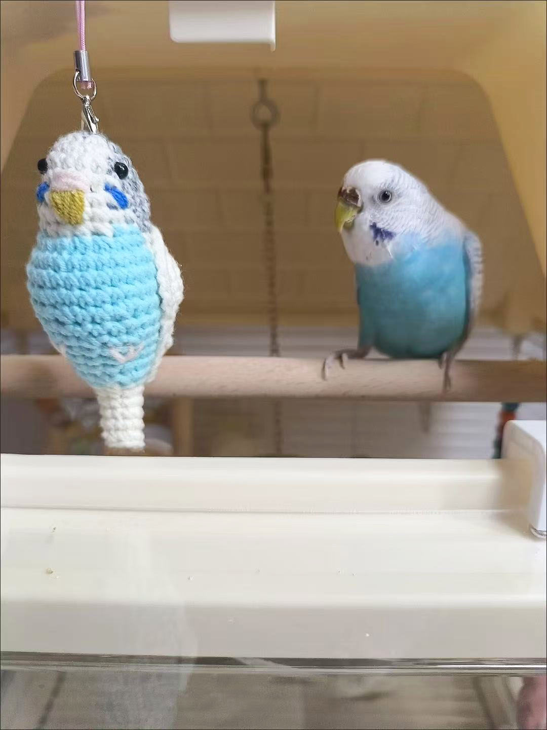 Custom Pet Bird Replica – Handmade Crochet Portrait from Your Photo, Small & Large Sizes Available - Image 12
