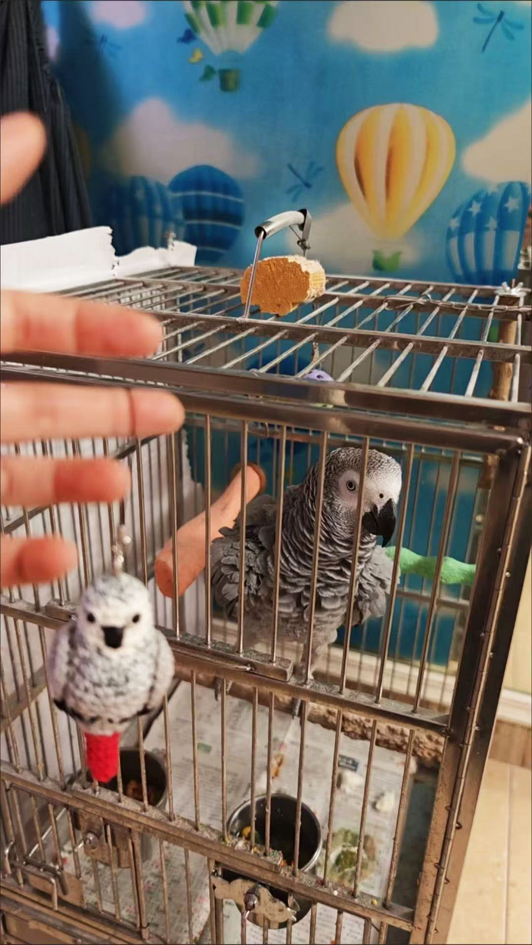 Custom Pet Bird Replica – Handmade Crochet Portrait from Your Photo, Small & Large Sizes Available - Image 11
