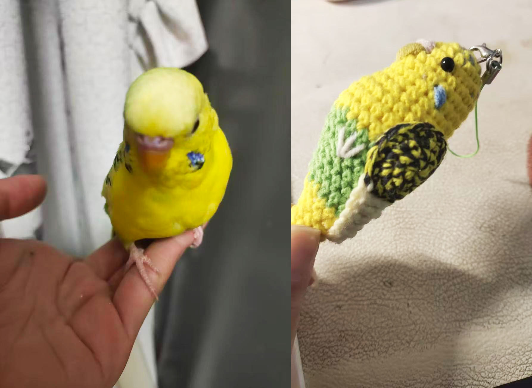 Custom Pet Bird Replica – Handmade Crochet Portrait from Your Photo, Small & Large Sizes Available - Image 10