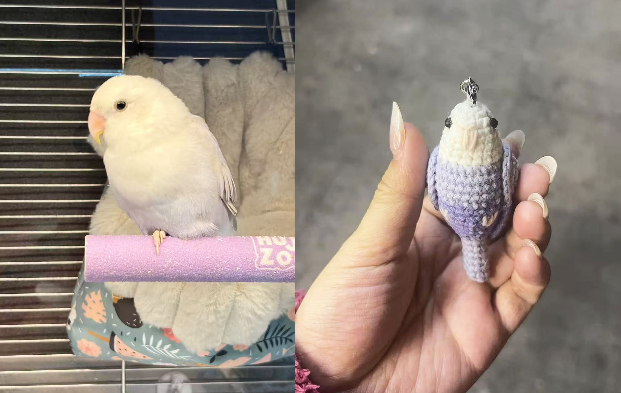 Custom Pet Bird Replica – Handmade Crochet Portrait from Your Photo, Small & Large Sizes Available - Image 25