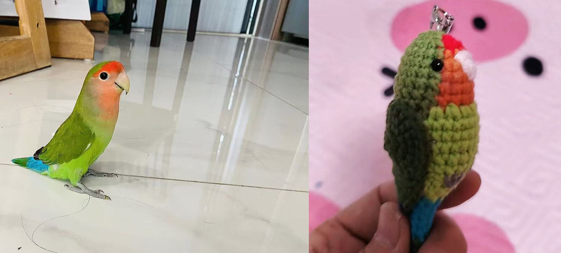 Custom Pet Bird Replica – Handmade Crochet Portrait from Your Photo, Small & Large Sizes Available - Image 24