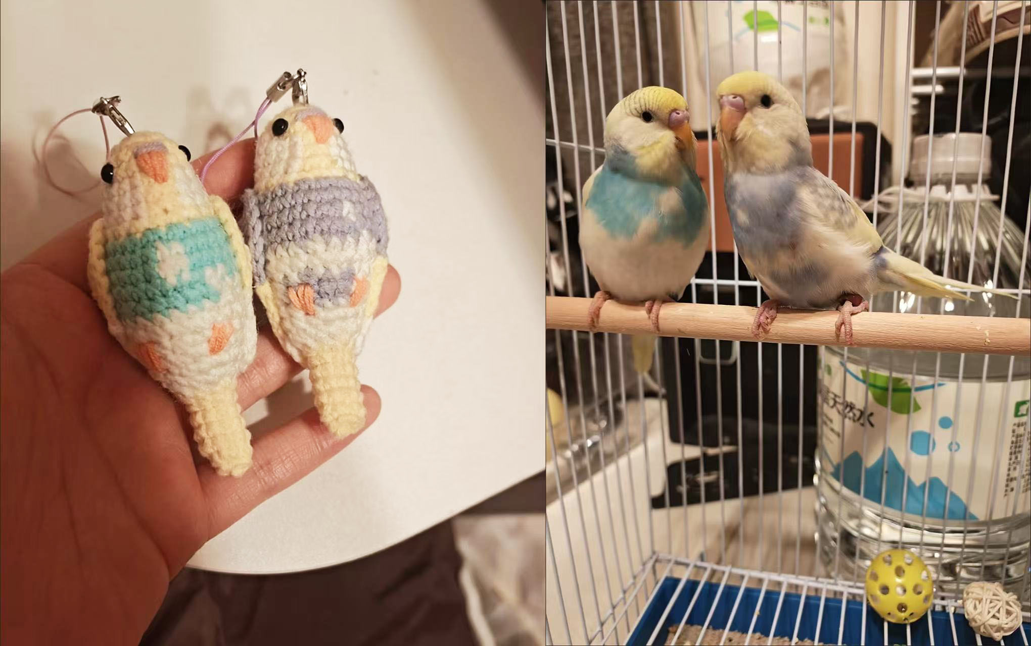 Custom Pet Bird Replica – Handmade Crochet Portrait from Your Photo, Small & Large Sizes Available - Image 23