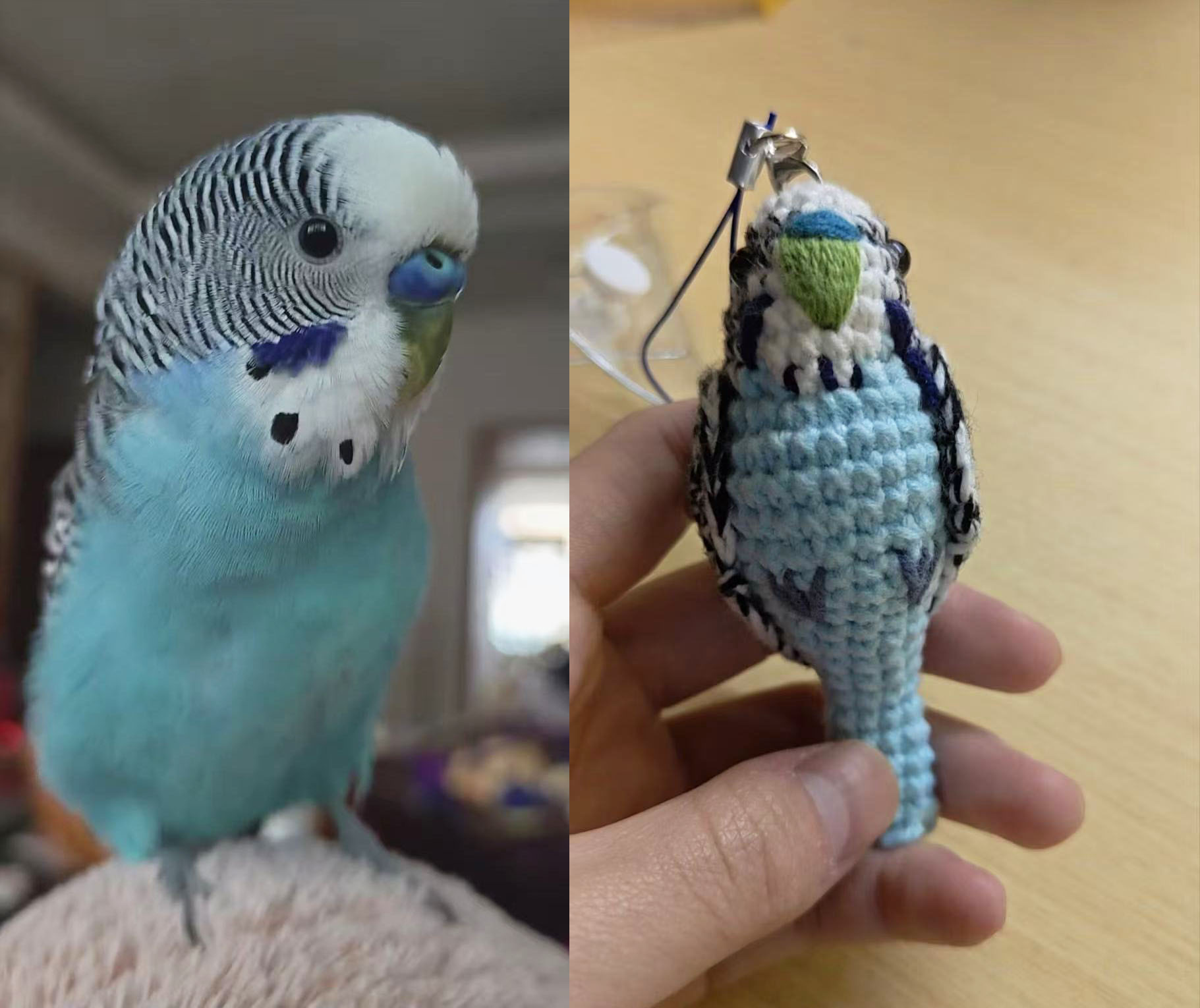 Custom Pet Bird Replica – Handmade Crochet Portrait from Your Photo, Small & Large Sizes Available - Image 22