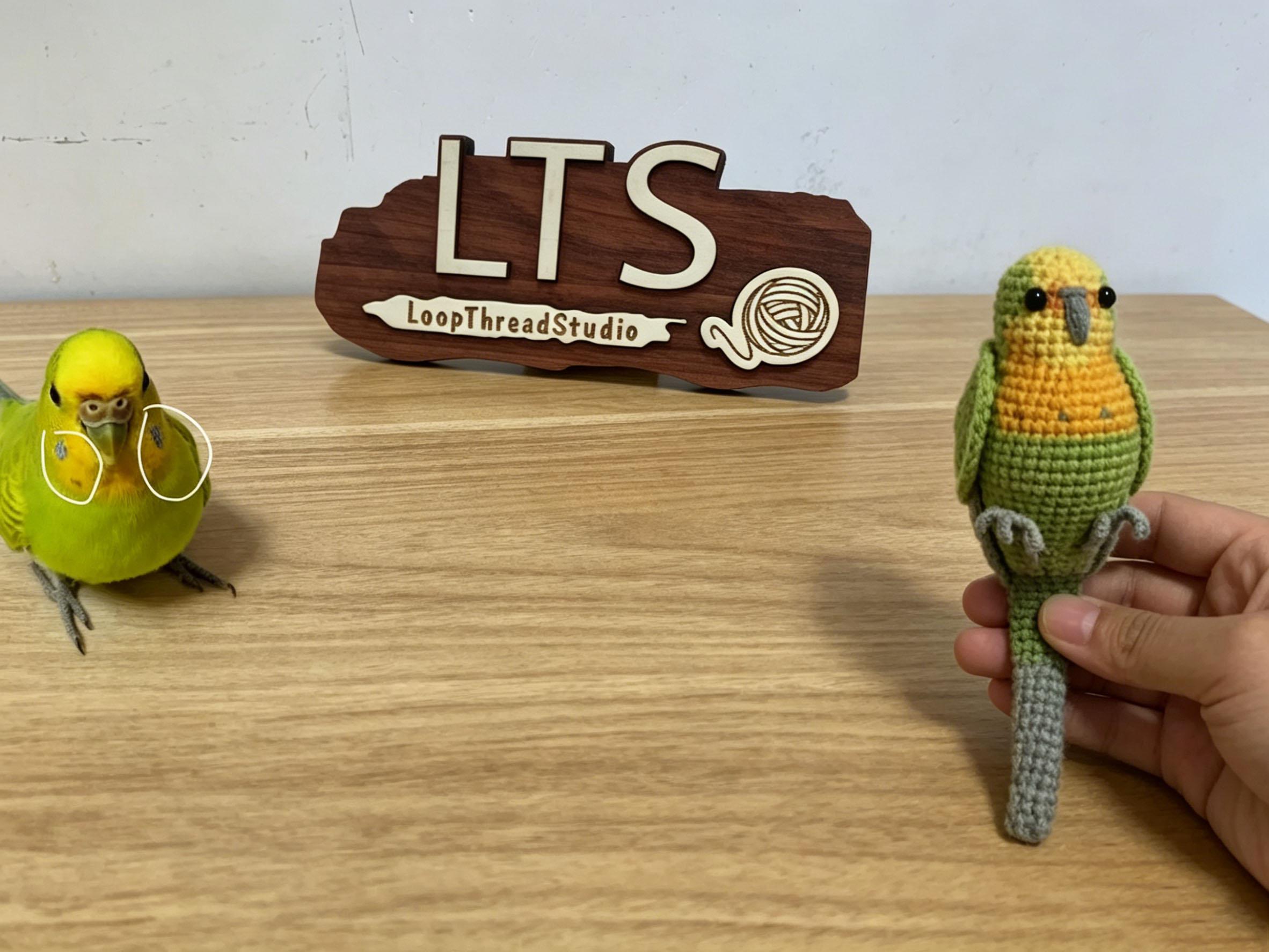 Custom Pet Bird Replica – Handmade Crochet Portrait from Your Photo, Small & Large Sizes Available - Image 21