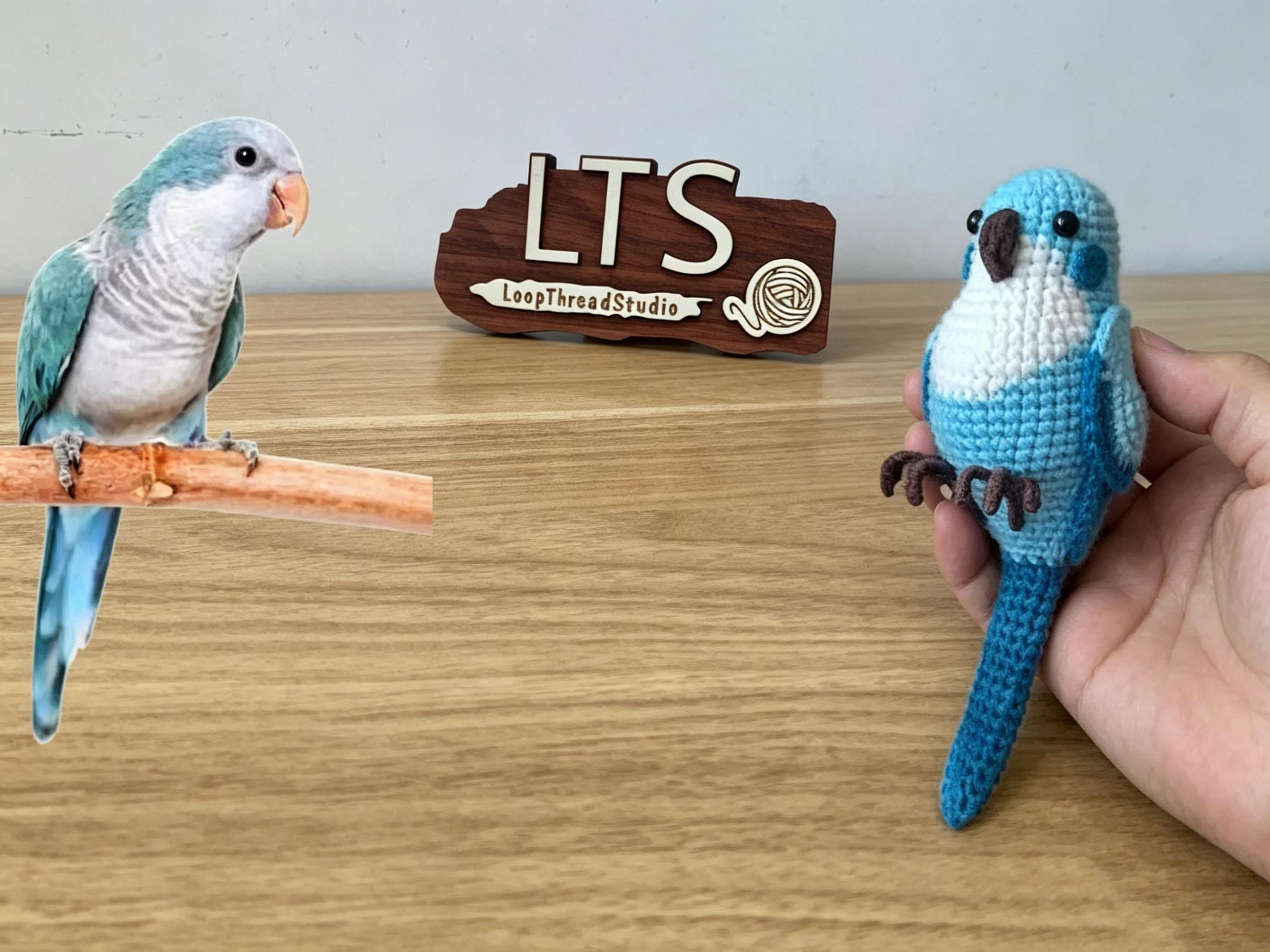Custom Pet Bird Replica – Handmade Crochet Portrait from Your Photo, Small & Large Sizes Available - Image 20