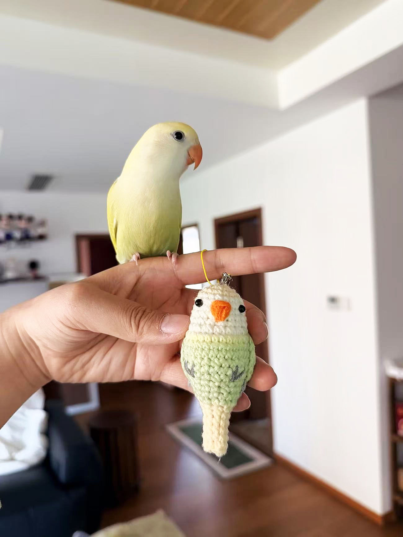Custom Pet Bird Replica – Handmade Crochet Portrait from Your Photo, Small & Large Sizes Available - Image 19