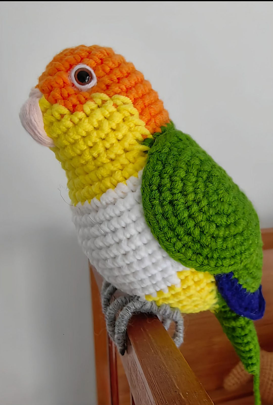 Custom Crochet Caique Parrot, Realistic White-bellied Plush, Pet Portrait - Image 3