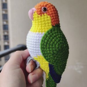 Custom Crochet Caique Parrot, Realistic White-bellied Plush, Pet Portrait