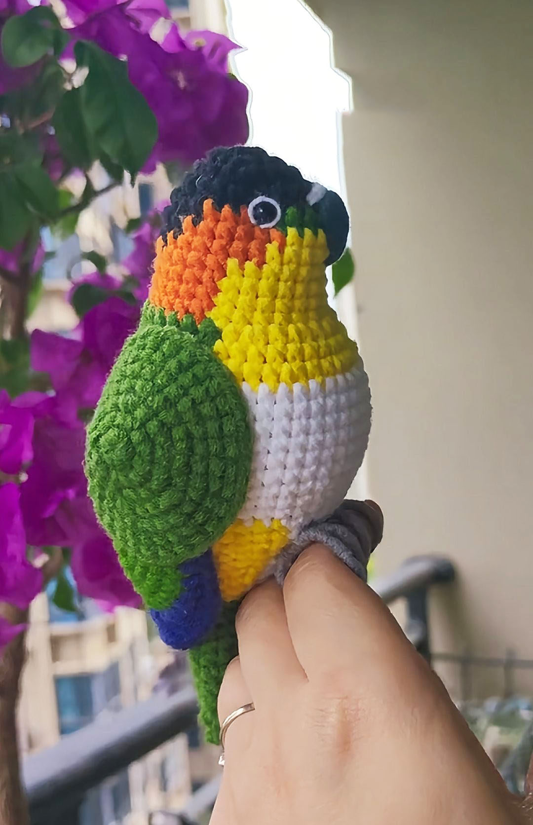 Custom Crochet Caique Parrot, Realistic White-bellied Plush, Pet Portrait - Image 5
