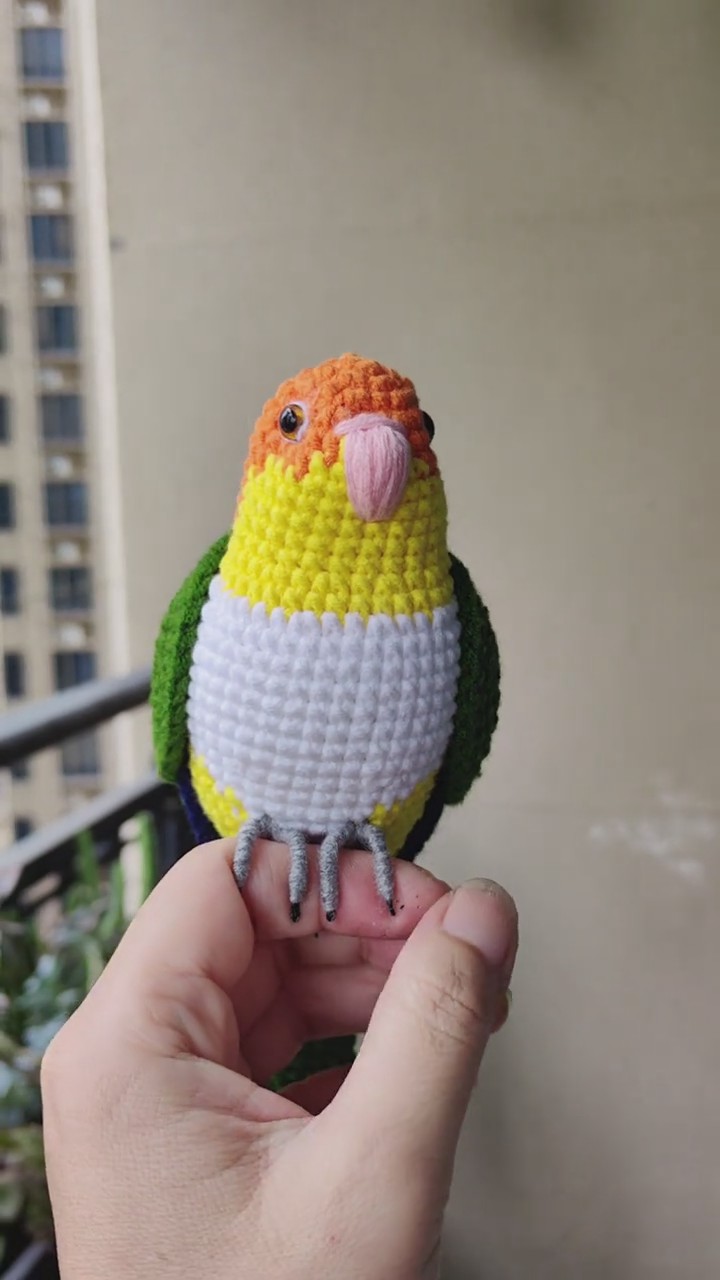 Custom Crochet Caique Parrot, Realistic White-bellied Plush, Pet Portrait - Image 6