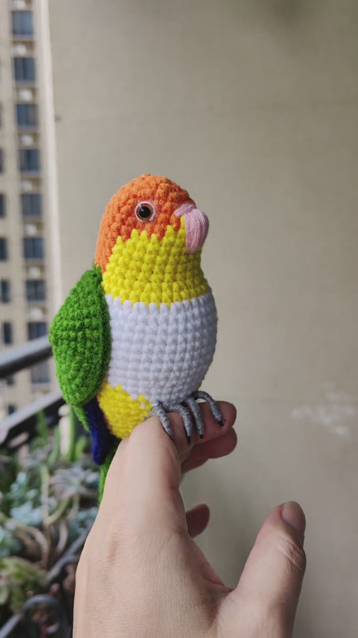 Custom Crochet Caique Parrot, Realistic White-bellied Plush, Pet Portrait - Image 7