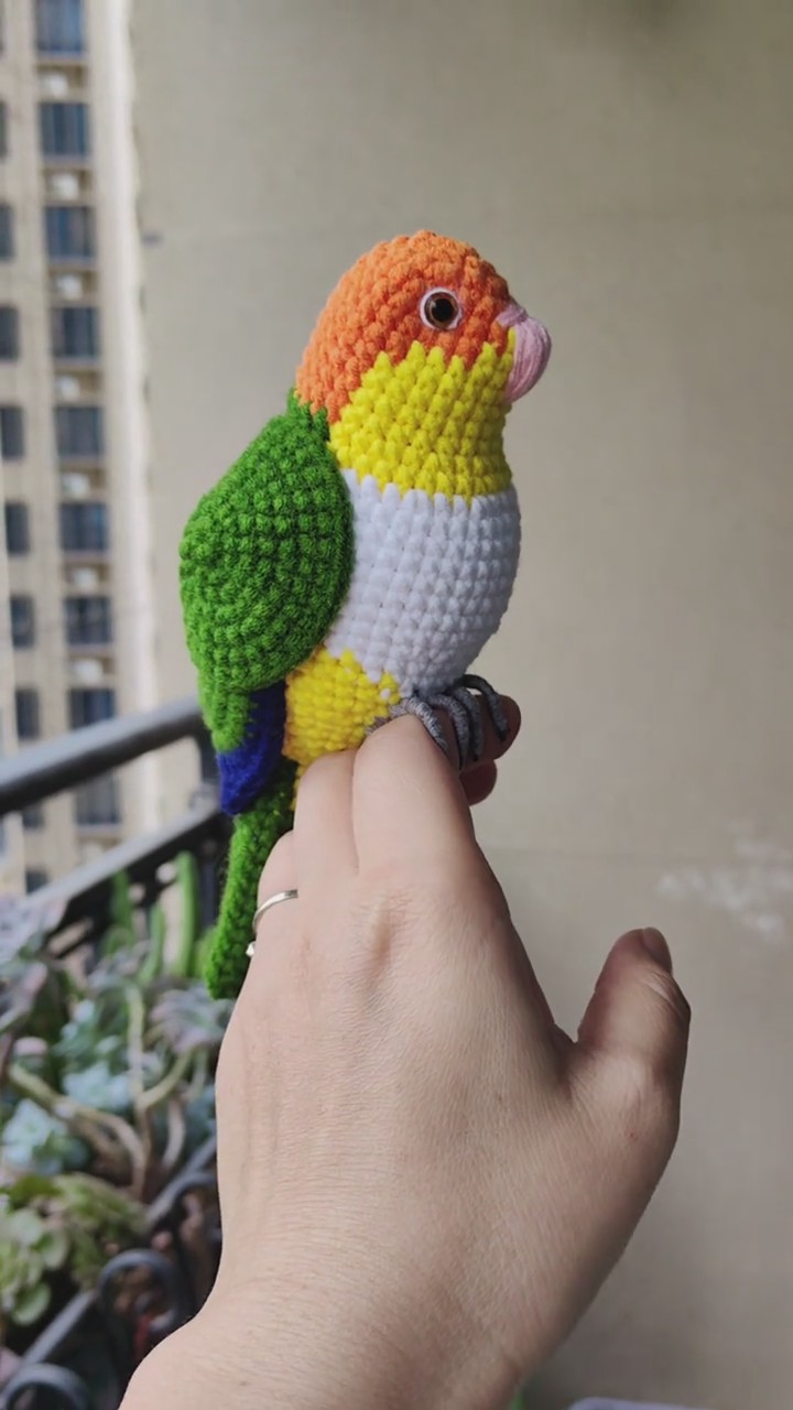 Custom Crochet Caique Parrot, Realistic White-bellied Plush, Pet Portrait - Image 8