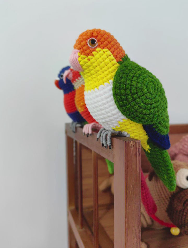 Custom Crochet Caique Parrot, Realistic White-bellied Plush, Pet Portrait - Image 9