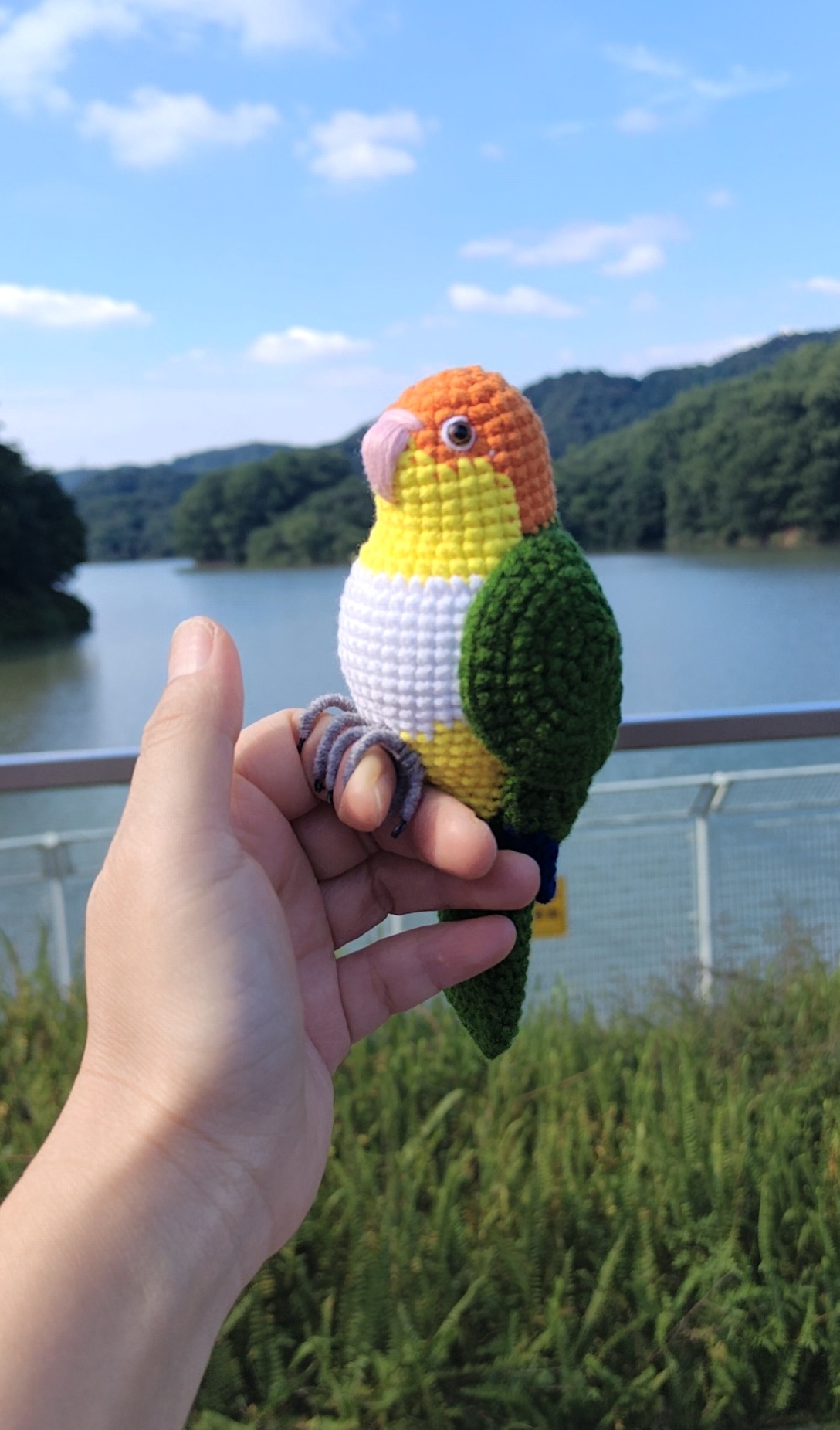 Custom Crochet Caique Parrot, Realistic White-bellied Plush, Pet Portrait - Image 10