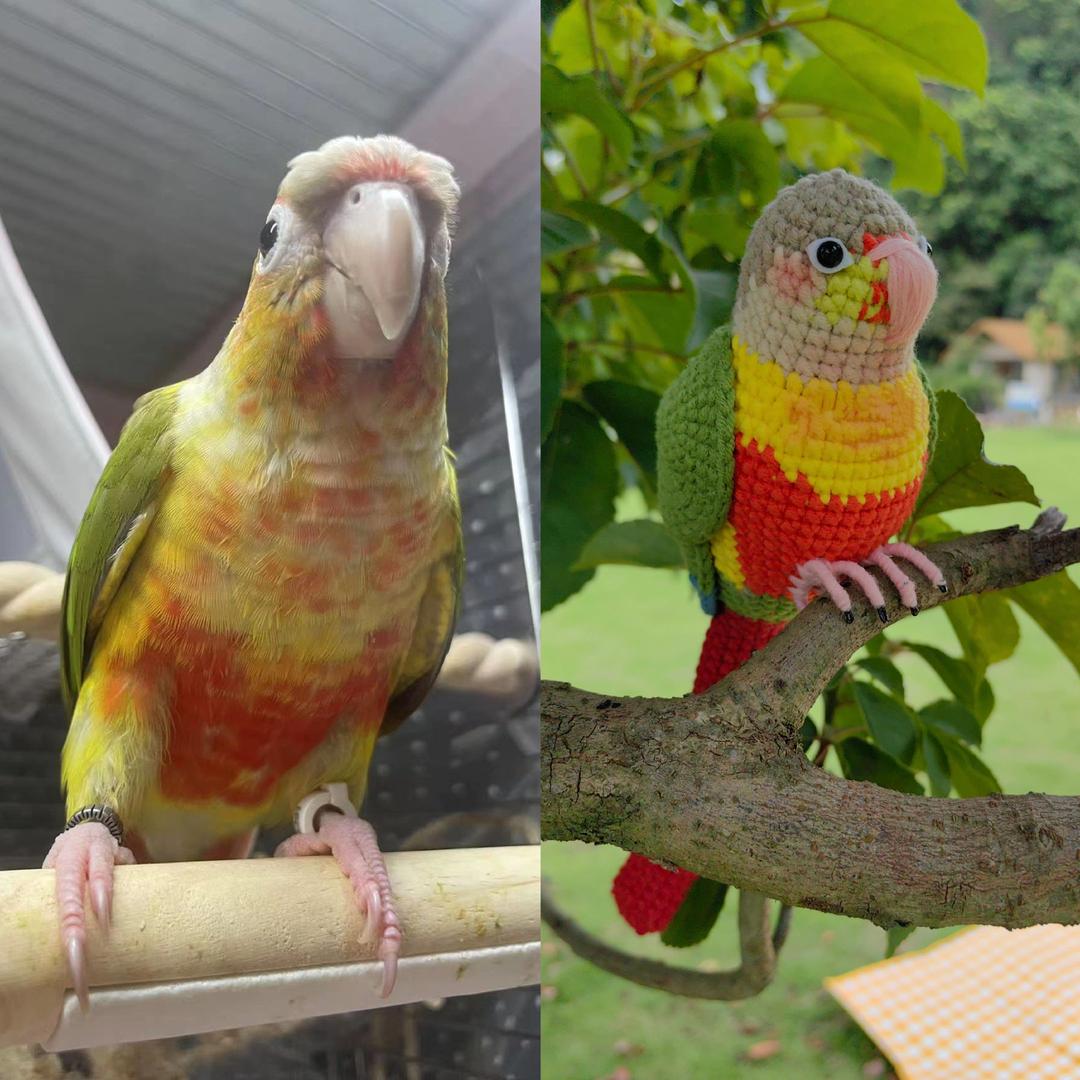 Custom Pet Bird Replica – Handmade Crochet Portrait from Your Photo, Small & Large Sizes Available - Image 4