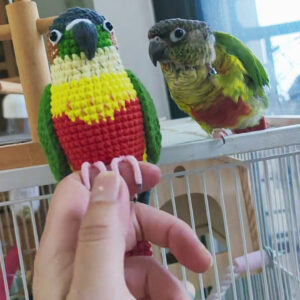 Custom Pet Bird Replica – Handmade Crochet Portrait from Your Photo, Small & Large Sizes Available