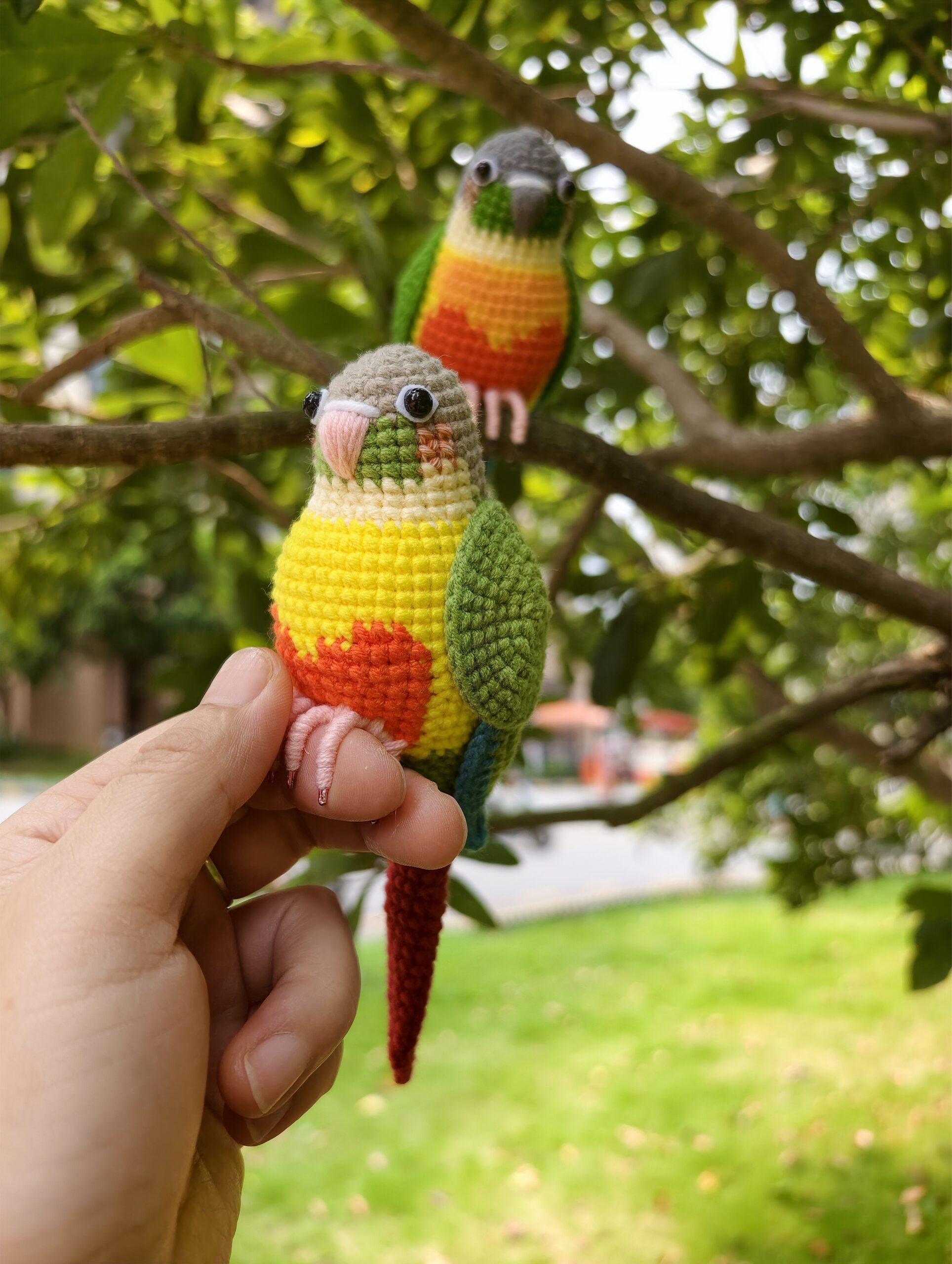 Custom Crochet Green Cheek Conure, Realistic Bird Plush, Pet Portrait - Image 10