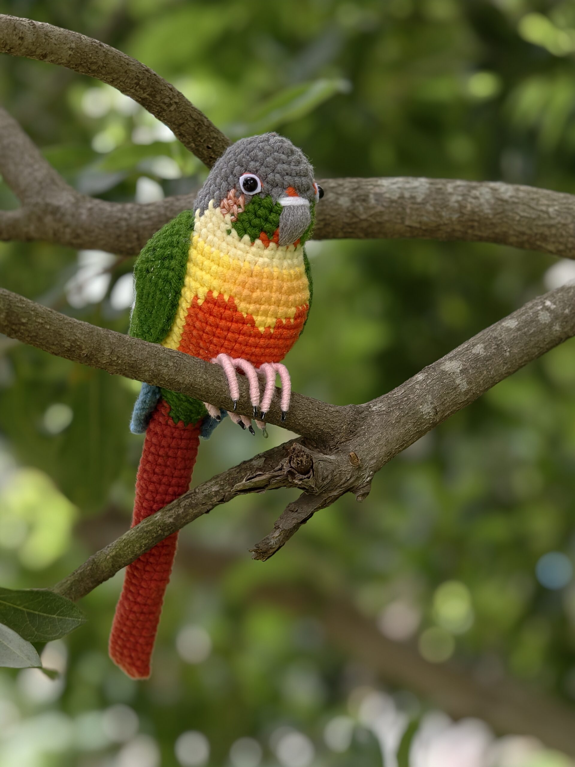 Custom Crochet Green Cheek Conure, Realistic Bird Plush, Pet Portrait - Image 12