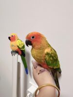 Custom Crochet Sun Conure, Realistic Parrot Plush, Personalized Bird Portrait (Small/Large)