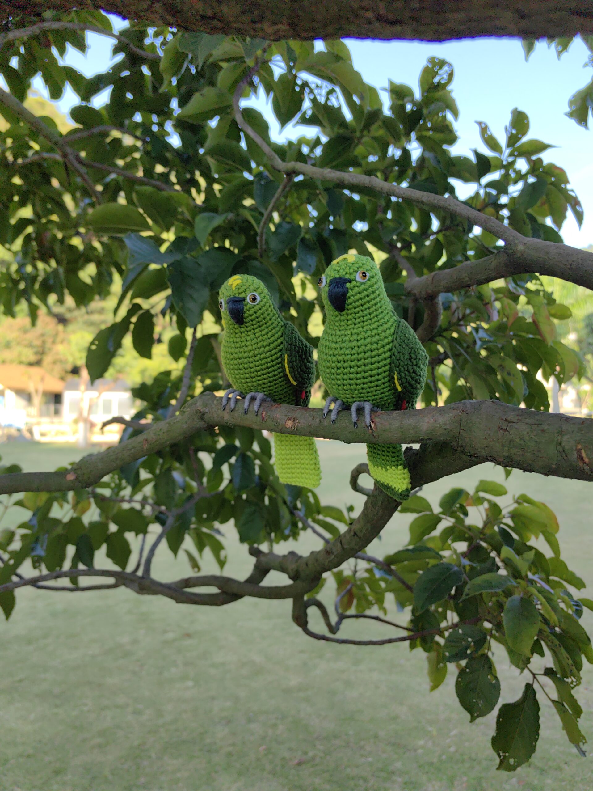 Handmade Yellow-crowned Amazon Figurine, Realistic Crochet Parrot Plush, Unique Birdwatcher Gift, Woodland Decor - Image 10