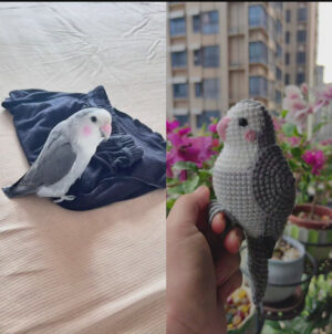 Custom Crochet Lovebird, Realistic Pet Portrait Plush (Small/Large)