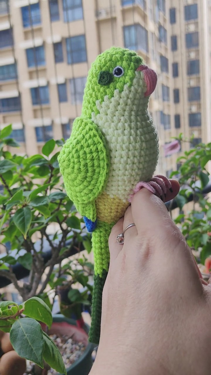 Custom Crochet Quaker Parrot Keychain, Realistic Monk Parakeet Plush, Pet Portrait (Small/Large) - Image 4