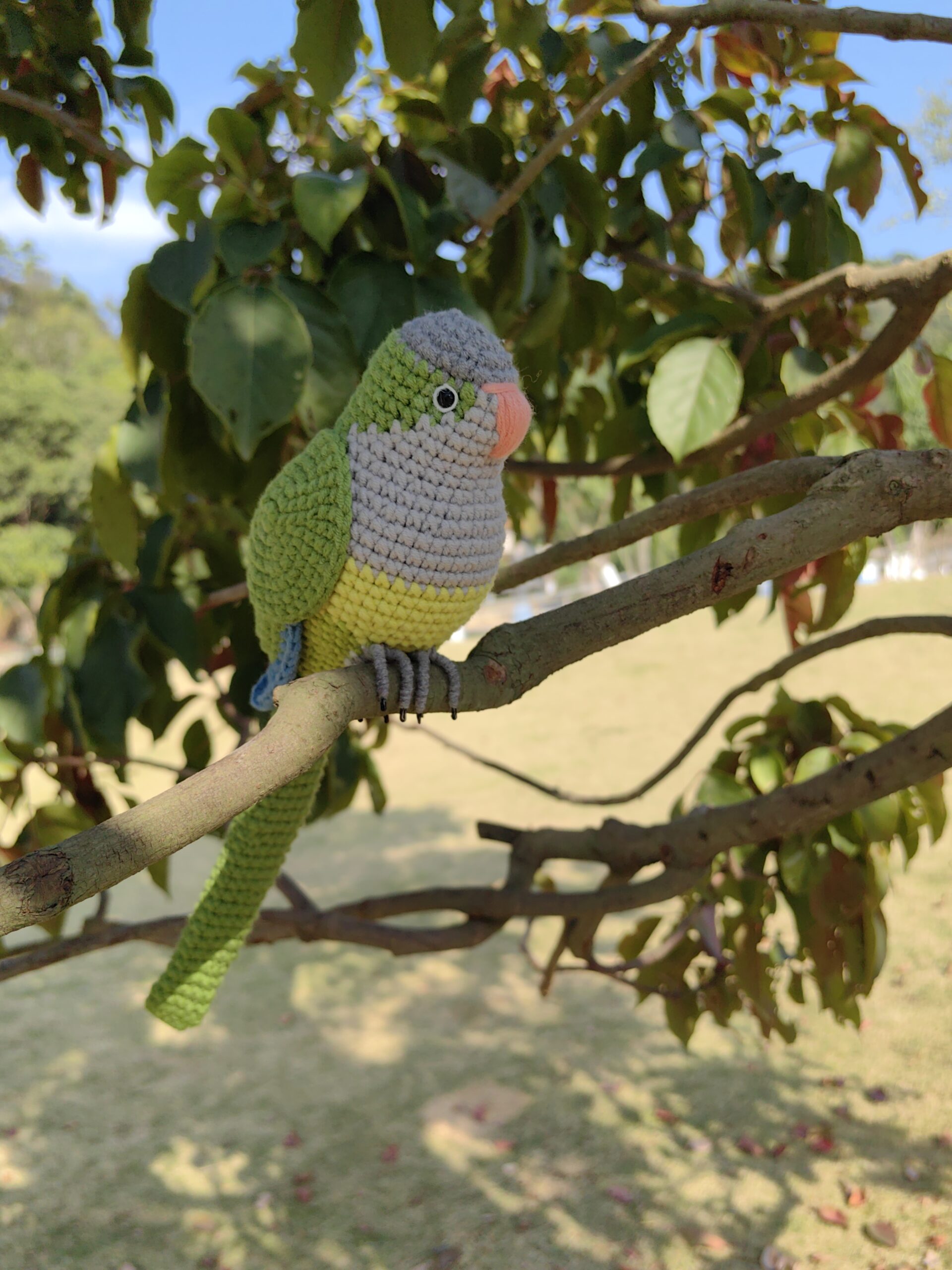 Custom Crochet Quaker Parrot Keychain, Realistic Monk Parakeet Plush, Pet Portrait (Small/Large) - Image 12