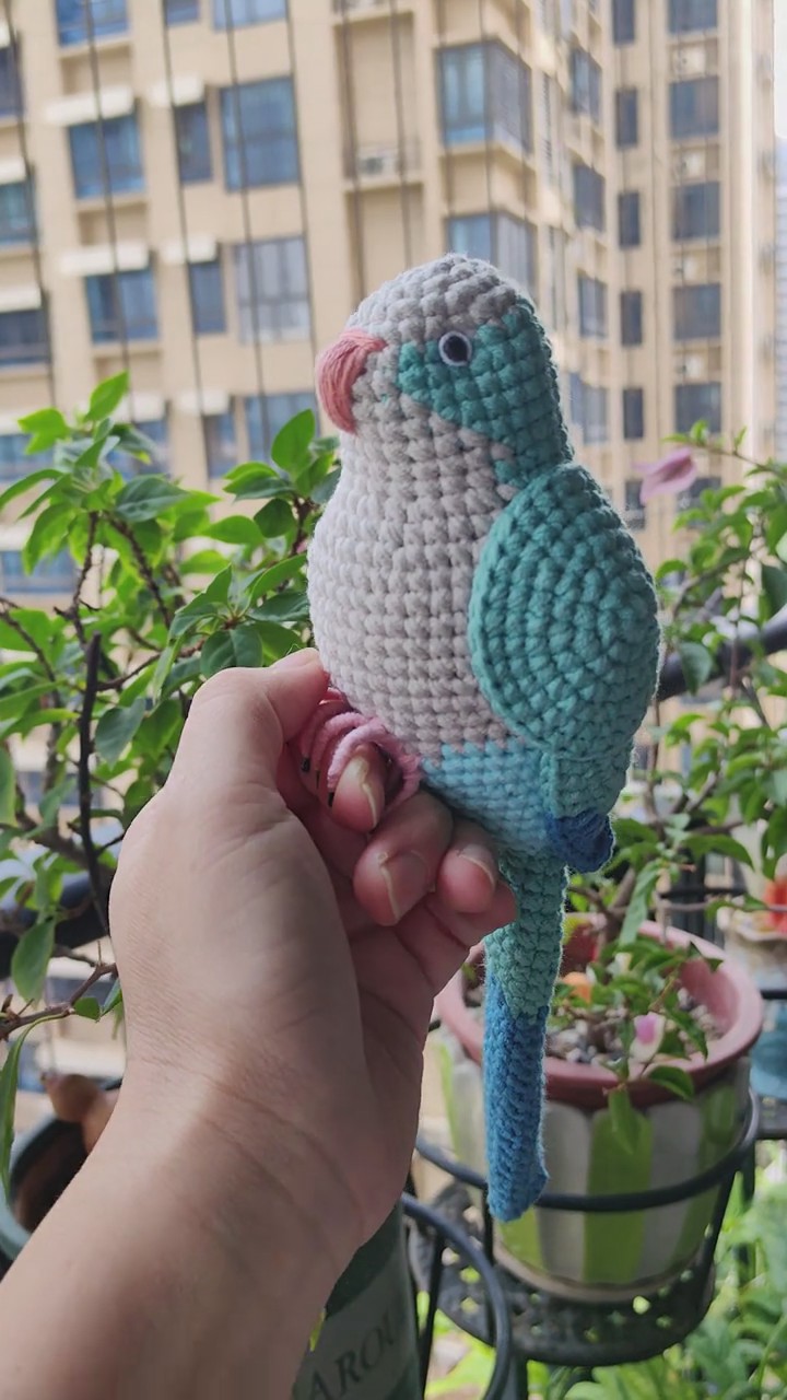 Custom Crochet Quaker Parrot Keychain, Realistic Monk Parakeet Plush, Pet Portrait (Small/Large) - Image 8