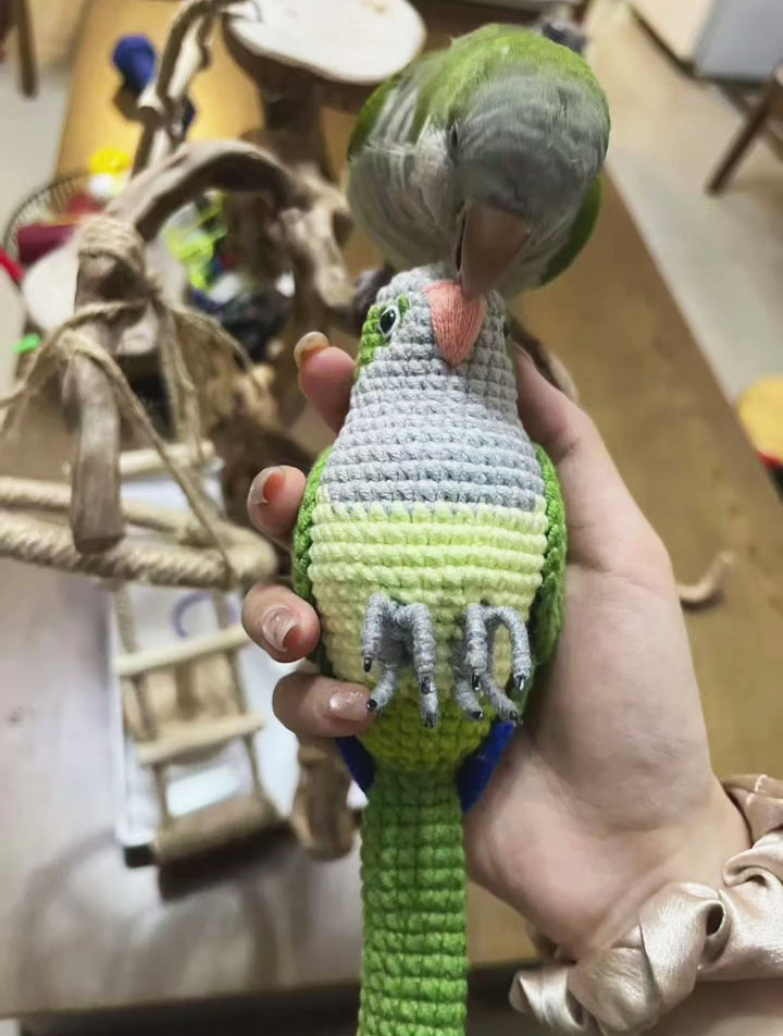 Custom Crochet Quaker Parrot Keychain, Realistic Monk Parakeet Plush, Pet Portrait (Small/Large) - Image 2