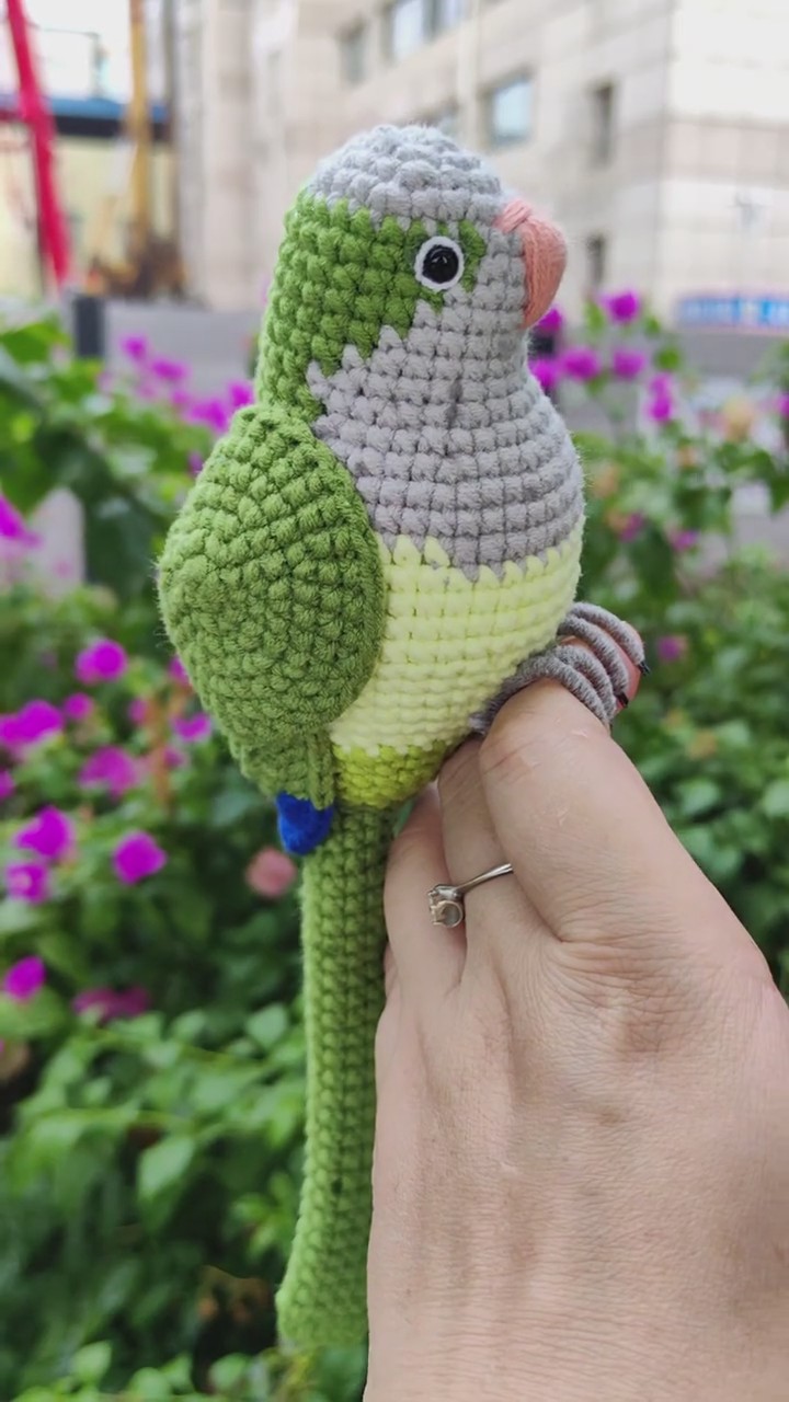 Custom Crochet Quaker Parrot Keychain, Realistic Monk Parakeet Plush, Pet Portrait (Small/Large) - Image 9