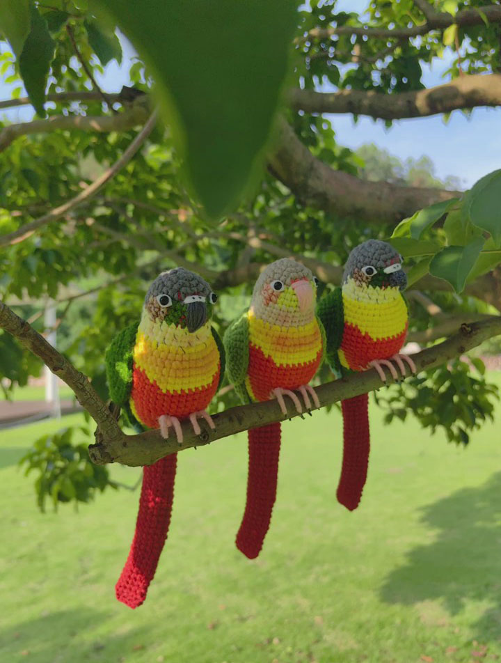 Custom Crochet Green Cheek Conure, Realistic Bird Plush, Pet Portrait - Image 14