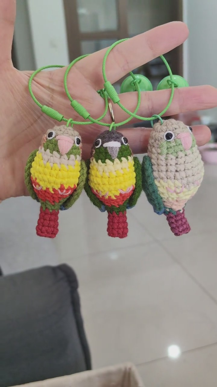 Custom Crochet Green Cheek Conure, Realistic Bird Plush, Pet Portrait - Image 15