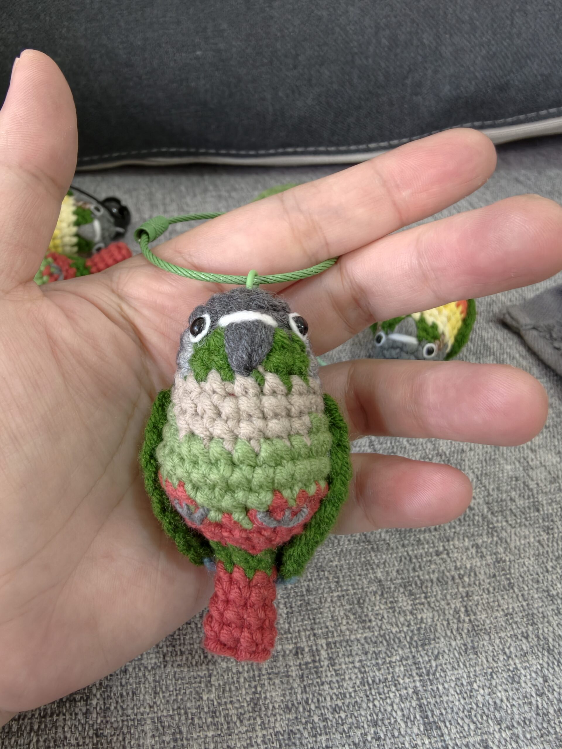 Custom Crochet Green Cheek Conure, Realistic Bird Plush, Pet Portrait - Image 17