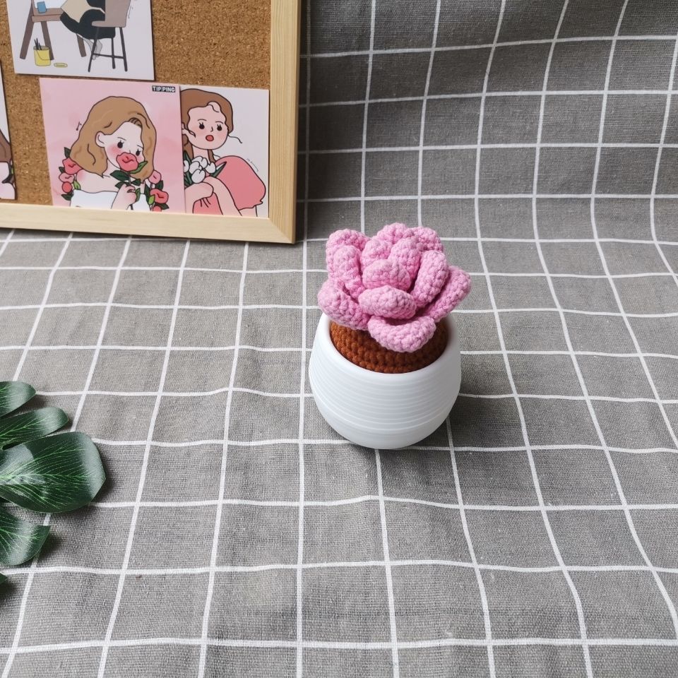 Handmade Crochet Amigurumi Succulent | Amigurumi Potted Cactus Desk Decor - Image 5