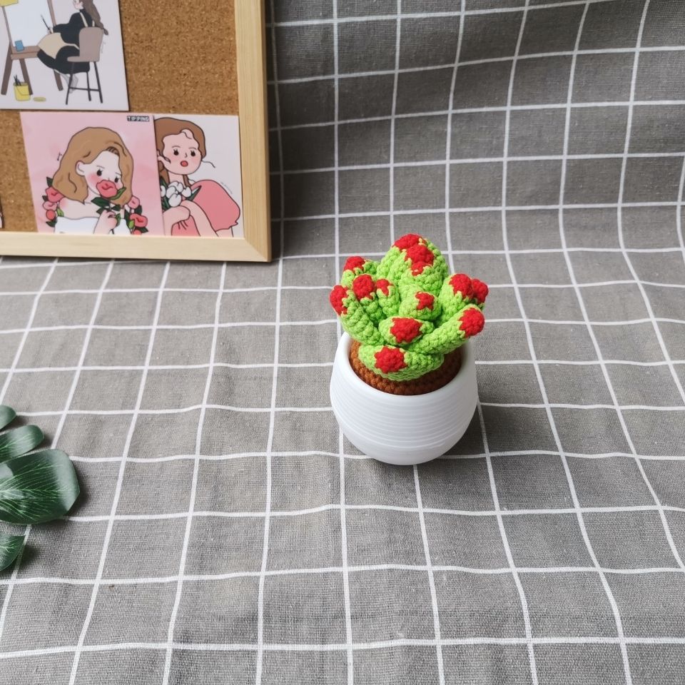 Handmade Crochet Amigurumi Succulent | Amigurumi Potted Cactus Desk Decor - Image 4
