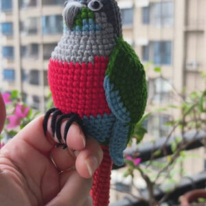 Custom Crochet High Red Conure – Handmade Green Cheek Parrot Plush, Small Keychain with Bell or Large Display, Personalized Pet Portrait