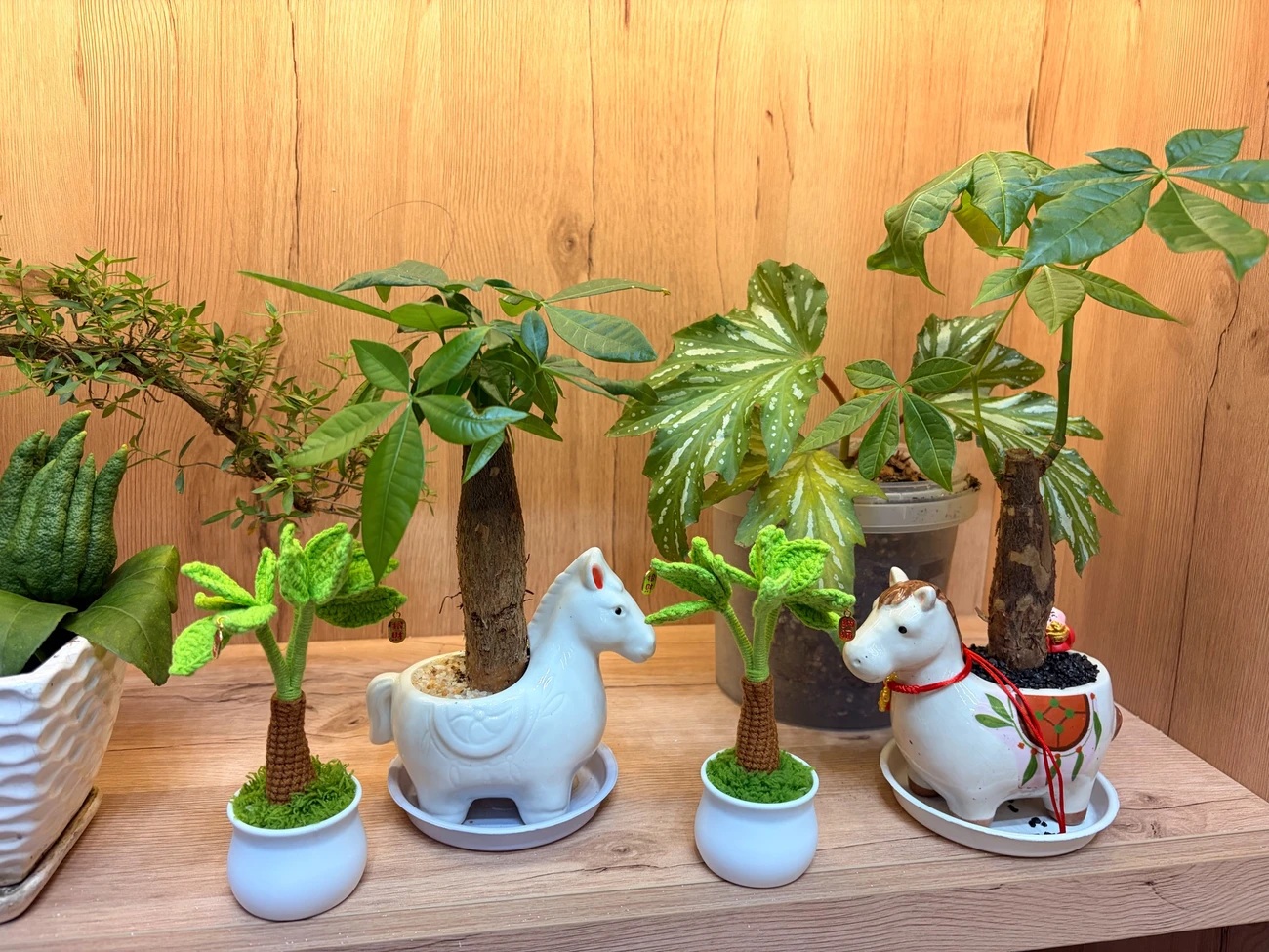 Handmade Crochet Plant | Lucky Money Tree with Fortune Charms - Image 7