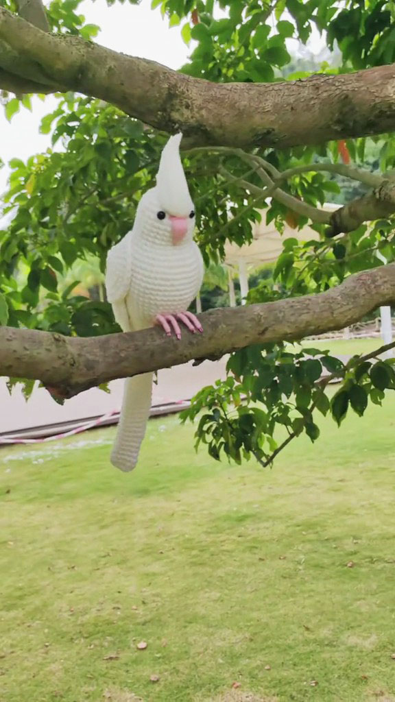 Custom Crochet White Cockatiel – Handmade Bird Plush, Small Keychain with Bell or Large Display, Personalized Pet Portrait - Image 10