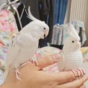 Custom Crochet White Cockatiel – Handmade Bird Plush, Small Keychain with Bell or Large Display, Personalized Pet Portrait